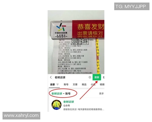 南锡与索肖比赛结果揭晓比分是多少引发球迷热议