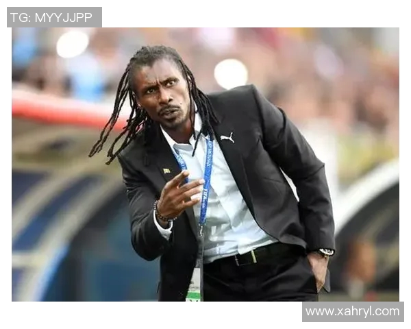 塞内加尔与贝尔哈提战役的精彩对决与战术分析