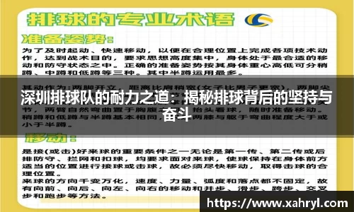 深圳排球队的耐力之道：揭秘排球背后的坚持与奋斗